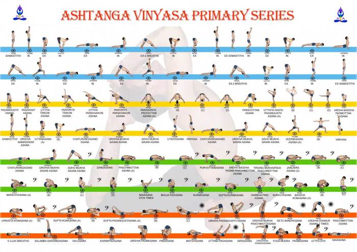 Yoga ashtanga vinyasa poses sequence flow series primary asanas sequences pose intermediate choose board charts practice