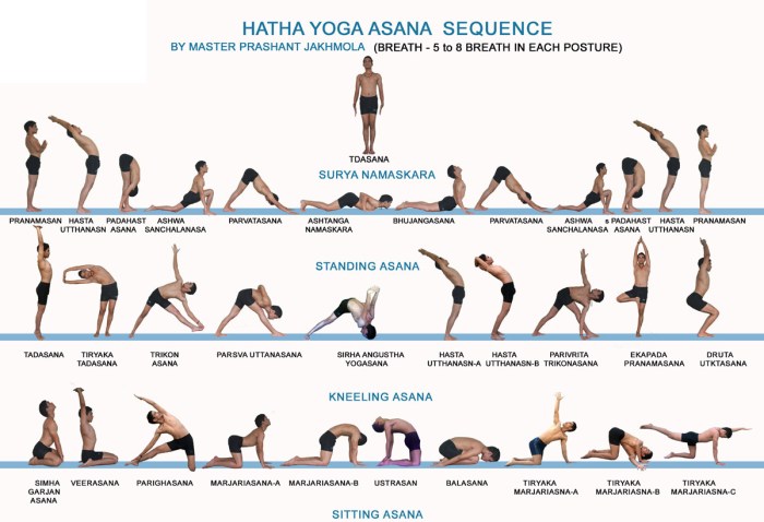 Gerakan asanas dari hatha yoga