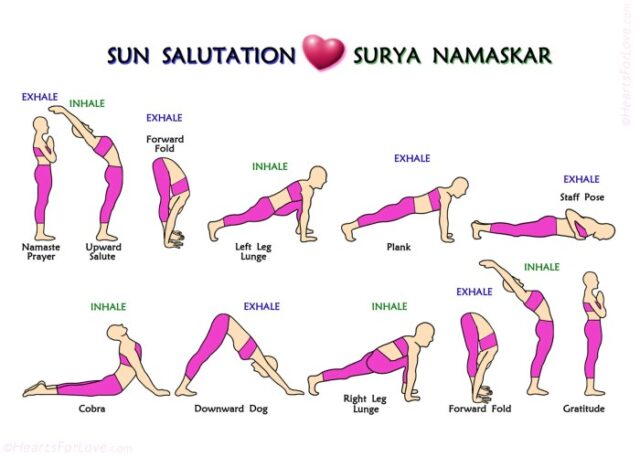 12 gerakan yoga surya namaskara